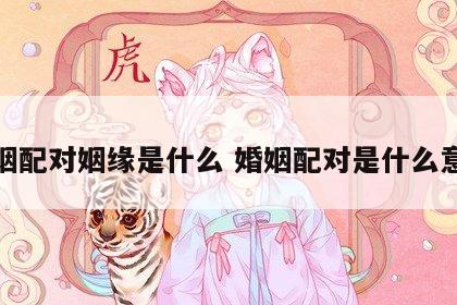 婚姻配对姻缘是什么 婚姻配对是什么意思