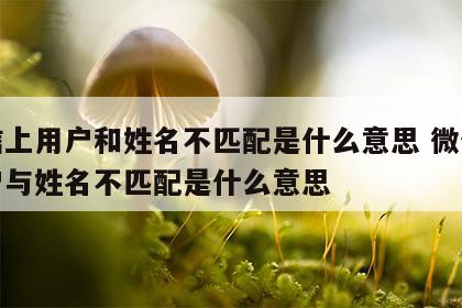 微信上用户和姓名不匹配是什么意思 微信上用户与姓名不匹配是什么意思