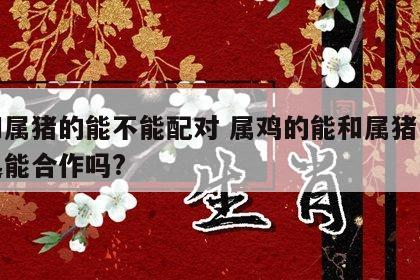 鸡和属猪的能不能配对 属鸡的能和属猪的在一起能合作吗?