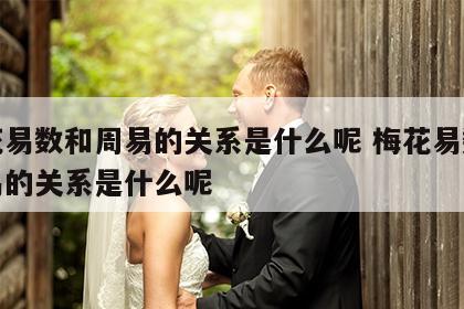 梅花易数和周易的关系是什么呢 梅花易数和周易的关系是什么呢