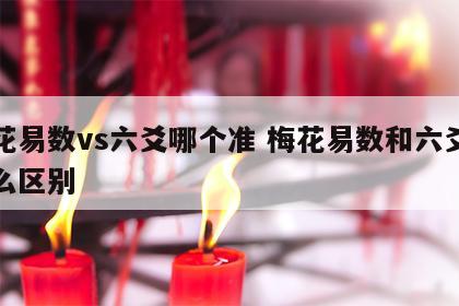 梅花易数vs六爻哪个准 梅花易数和六爻有什么区别