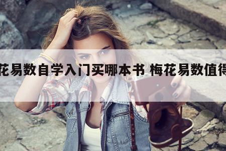 梅花易数自学入门买哪本书 梅花易数值得学吗