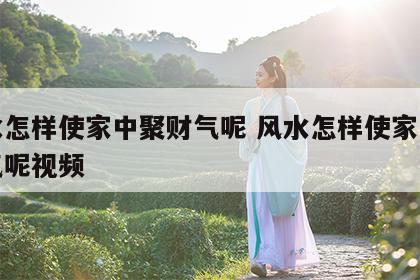 风水怎样使家中聚财气呢 风水怎样使家中聚财气呢视频