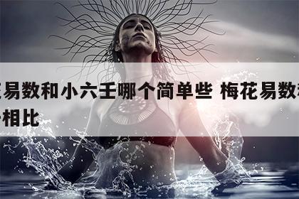 梅花易数和小六壬哪个简单些 梅花易数和大六壬相比