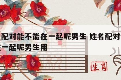 姓名配对能不能在一起呢男生 姓名配对能不能在一起呢男生用