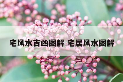 宅风水吉凶图解 宅居风水图解
