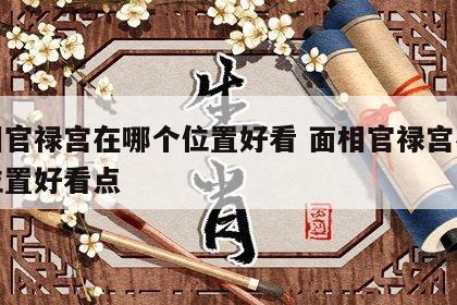 面相官禄宫在哪个位置好看 面相官禄宫在哪个位置好看点