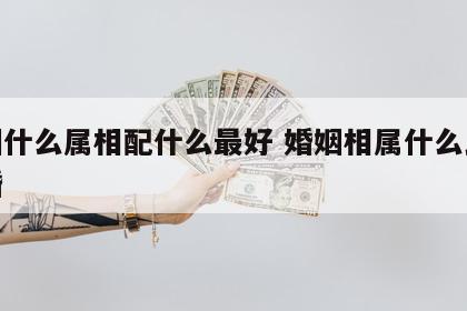 婚姻什么属相配什么最好 婚姻相属什么比较合婚