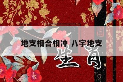 地支相合相冲 八字地支