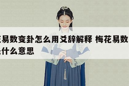 梅花易数变卦怎么用爻辞解释 梅花易数的变卦是什么意思