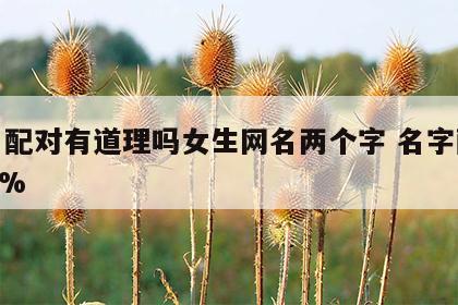 姓名配对有道理吗女生网名两个字 名字配对100%