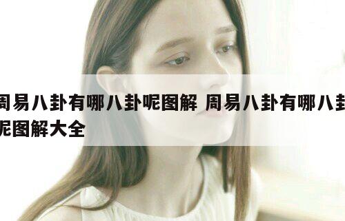 周易八卦有哪八卦呢图解 周易八卦有哪八卦呢图解大全