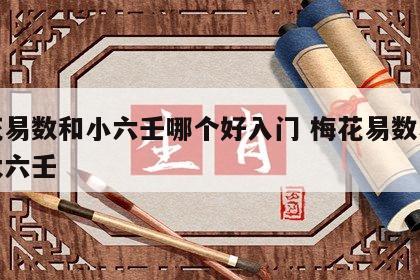 梅花易数和小六壬哪个好入门 梅花易数小六壬大六壬