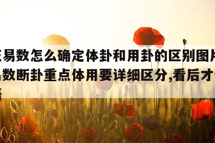梅花易数怎么确定体卦和用卦的区别图片 梅花易数断卦重点体用要详细区分,看后才恍然大悟