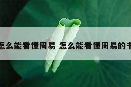 怎么能看懂周易 怎么能看懂周易的书