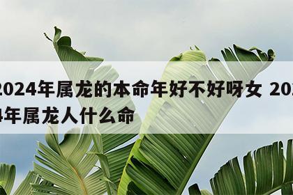 2024年属龙的本命年好不好呀女 2024年属龙人什么命
