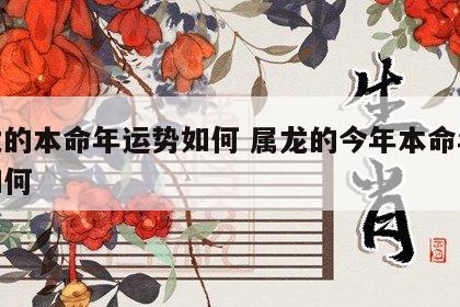 属龙的本命年运势如何 属龙的今年本命年运势如何