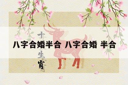 八字合婚半合 八字合婚 半合