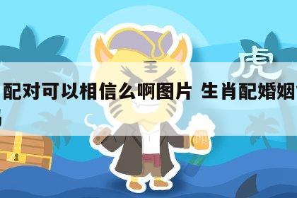 生肖配对可以相信么啊图片 生肖配婚姻能相信吗