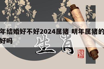 明年结婚好不好2024属猪 明年属猪的结婚好吗