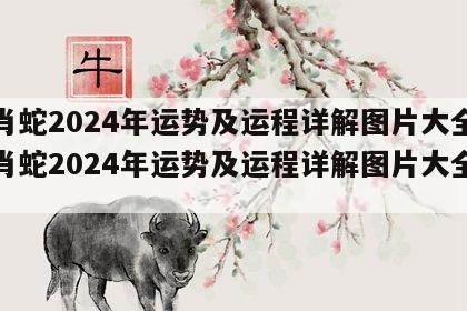 生肖蛇2024年运势及运程详解图片大全 生肖蛇2024年运势及运程详解图片大全大图