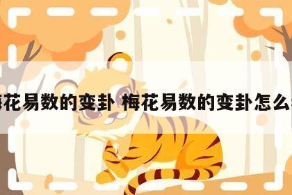 梅花易数的变卦 梅花易数的变卦怎么看