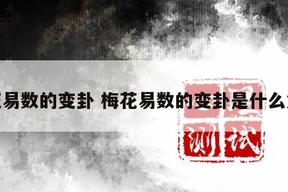 梅花易数的变卦 梅花易数的变卦是什么意思