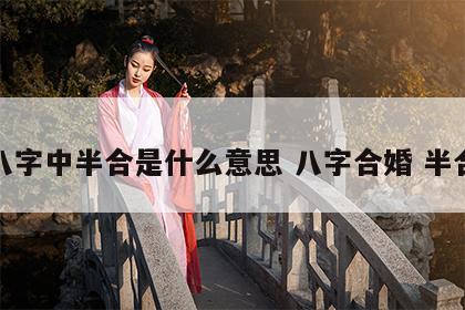八字中半合是什么意思 八字合婚 半合