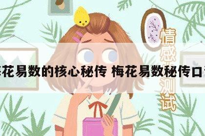 梅花易数的核心秘传 梅花易数秘传口诀