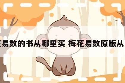 梅花易数的书从哪里买 梅花易数原版从哪买
