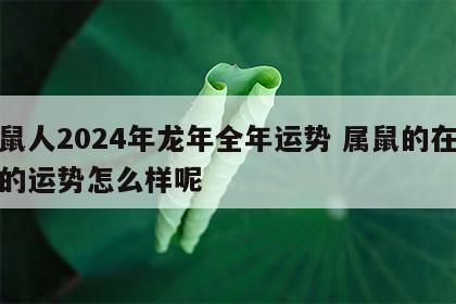 属鼠人2024年龙年全年运势 属鼠的在龙年的运势怎么样呢