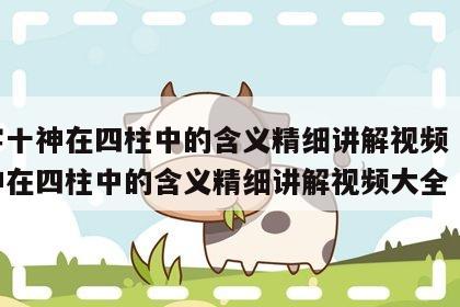 八字十神在四柱中的含义精细讲解视频 八字十神在四柱中的含义精细讲解视频大全
