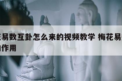 梅花易数互卦怎么来的视频教学 梅花易数互卦的作用