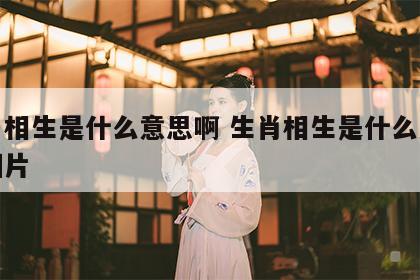 生肖相生是什么意思啊 生肖相生是什么意思啊图片