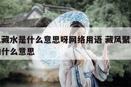 聚风藏水是什么意思呀网络用语 藏风聚水而不动什么意思