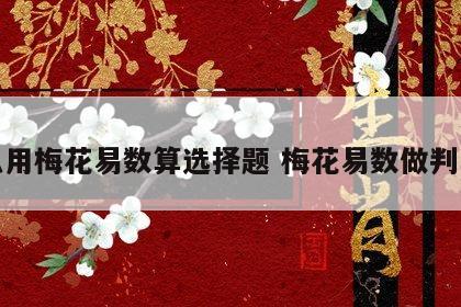 怎么用梅花易数算选择题 梅花易数做判断题