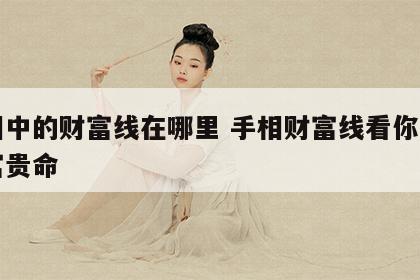 手相中的财富线在哪里 手相财富线看你是否有富贵命