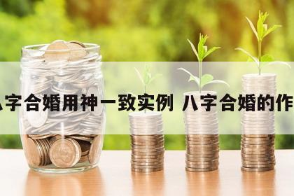 八字合婚用神一致实例 八字合婚的作用