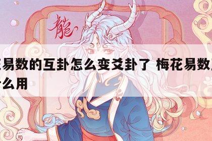 梅花易数的互卦怎么变爻卦了 梅花易数互卦有什么用