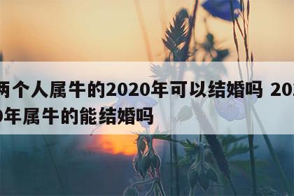 两个人属牛的2020年可以结婚吗 2020年属牛的能结婚吗