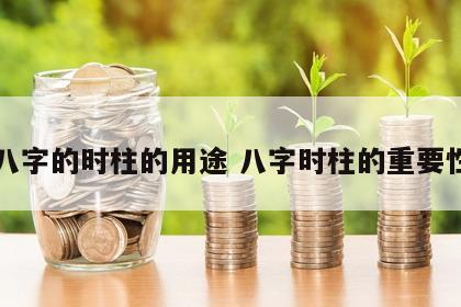 八字的时柱的用途 八字时柱的重要性