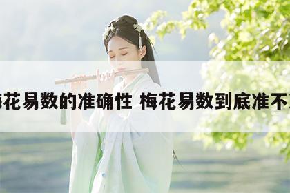 梅花易数的准确性 梅花易数到底准不准