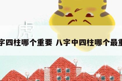 八字四柱哪个重要 八字中四柱哪个最重要