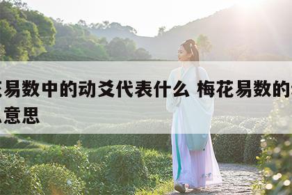 梅花易数中的动爻代表什么 梅花易数的动爻什么意思