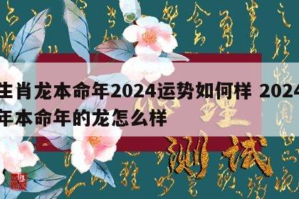 生肖龙本命年2024运势如何样 2024年本命年的龙怎么样
