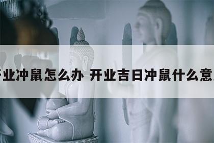 开业冲鼠怎么办 开业吉日冲鼠什么意思
