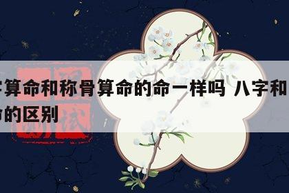 八字算命和称骨算命的命一样吗 八字和称骨算命的区别