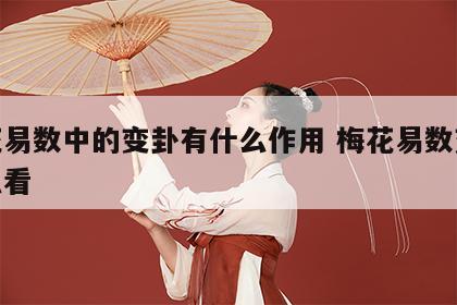 梅花易数中的变卦有什么作用 梅花易数变卦怎么看