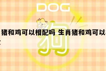 生肖猪和鸡可以相配吗 生肖猪和鸡可以相配吗女