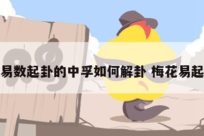 梅花易数起卦的中孚如何解卦 梅花易起卦法